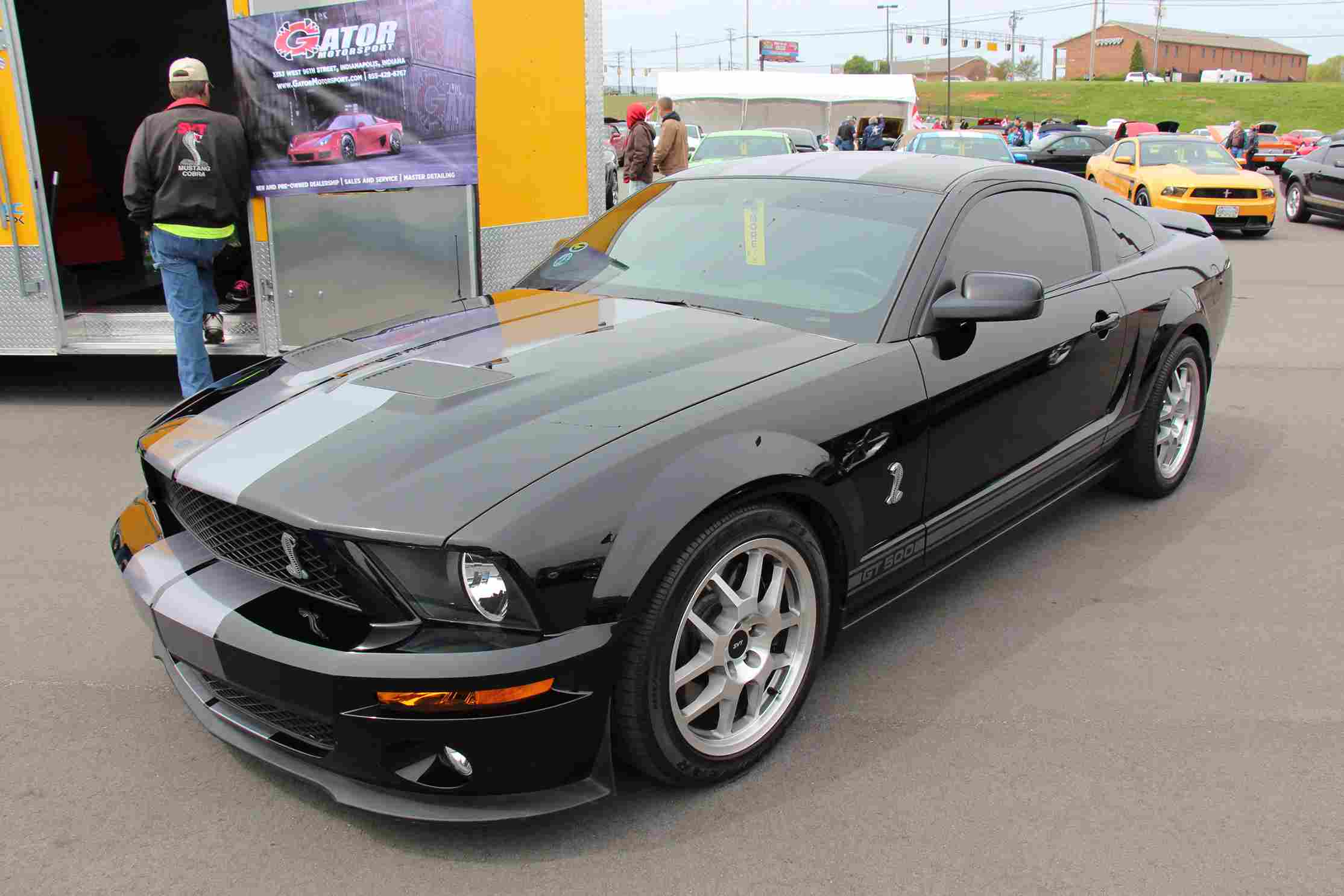 Silver 2008 Shelby Mustang GT500 parked, sleek and powerful design.