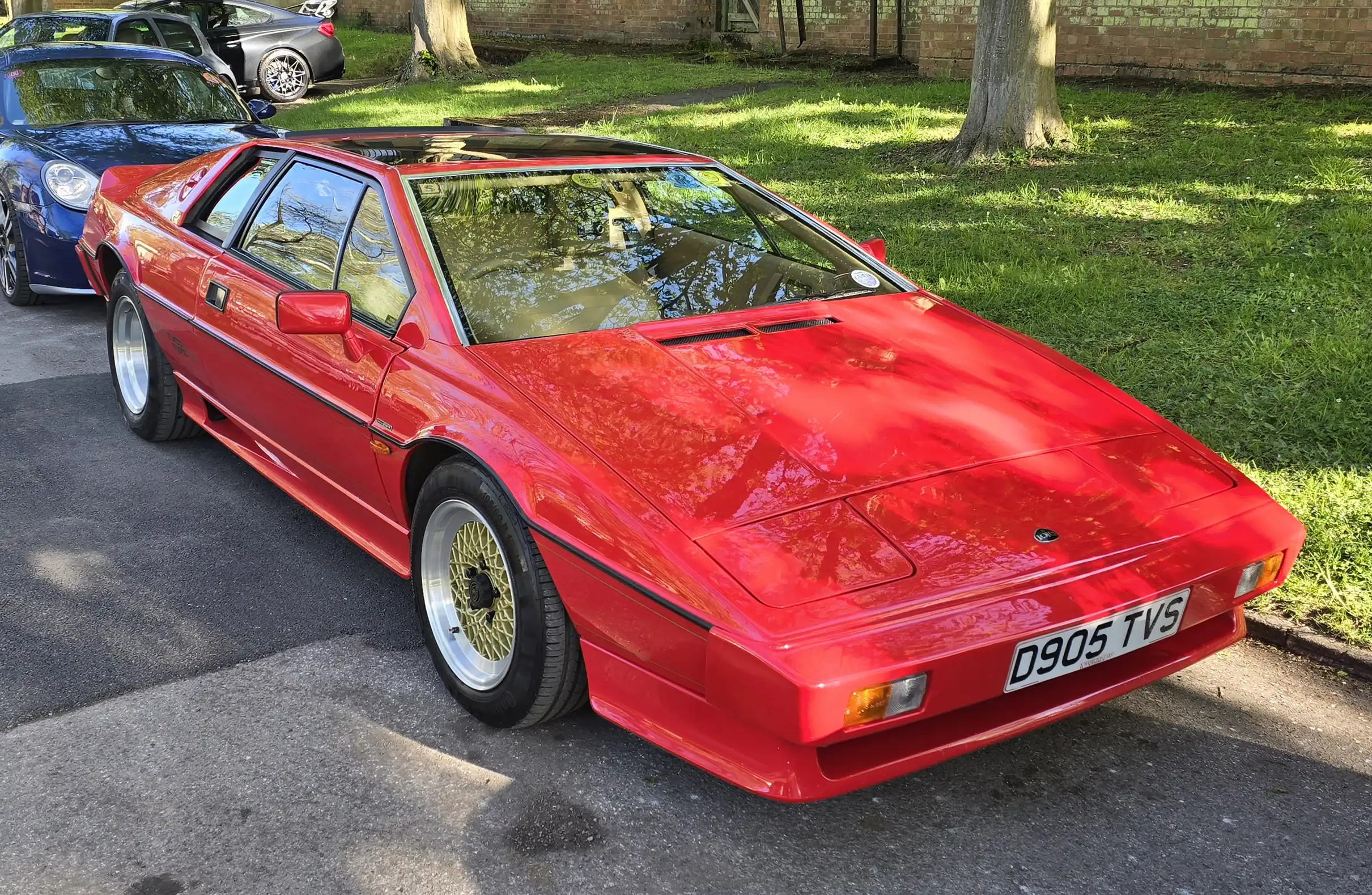 Sleek Lotus Esprit Turbo, vibrant color, iconic 80s sports car.