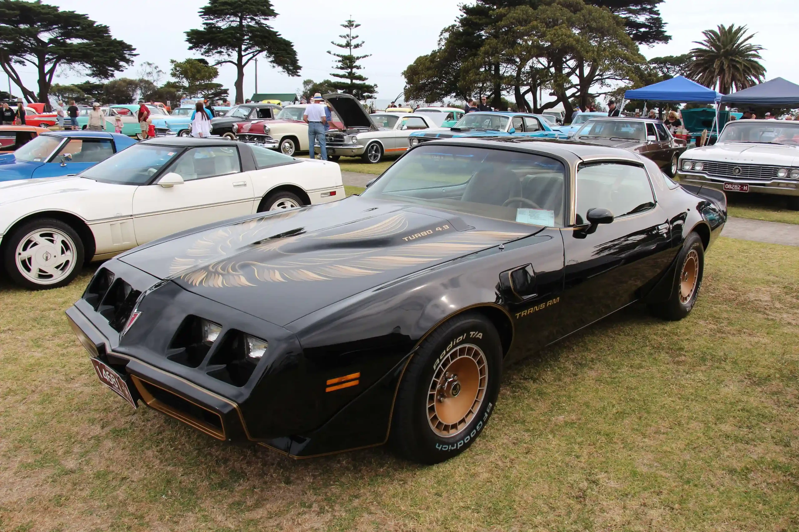 Sleek black 1980 Pontiac Trans Am 4.