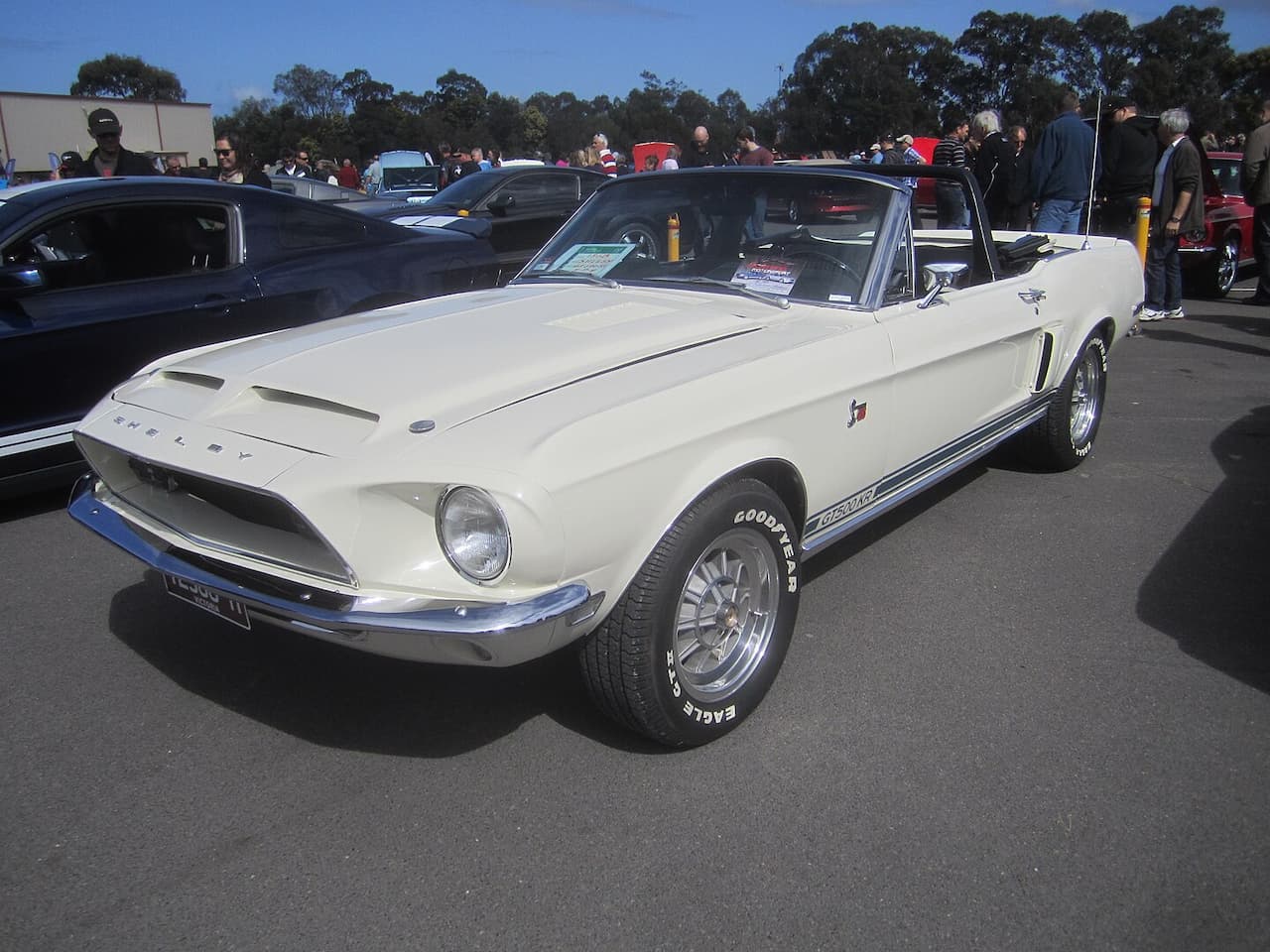 Classic white Ford Shelby GT500 convertible at a car show. Pristine vintage muscle car with chrome details, Goodyear tires, parked on asphalt with other vehicles and spectators in the background