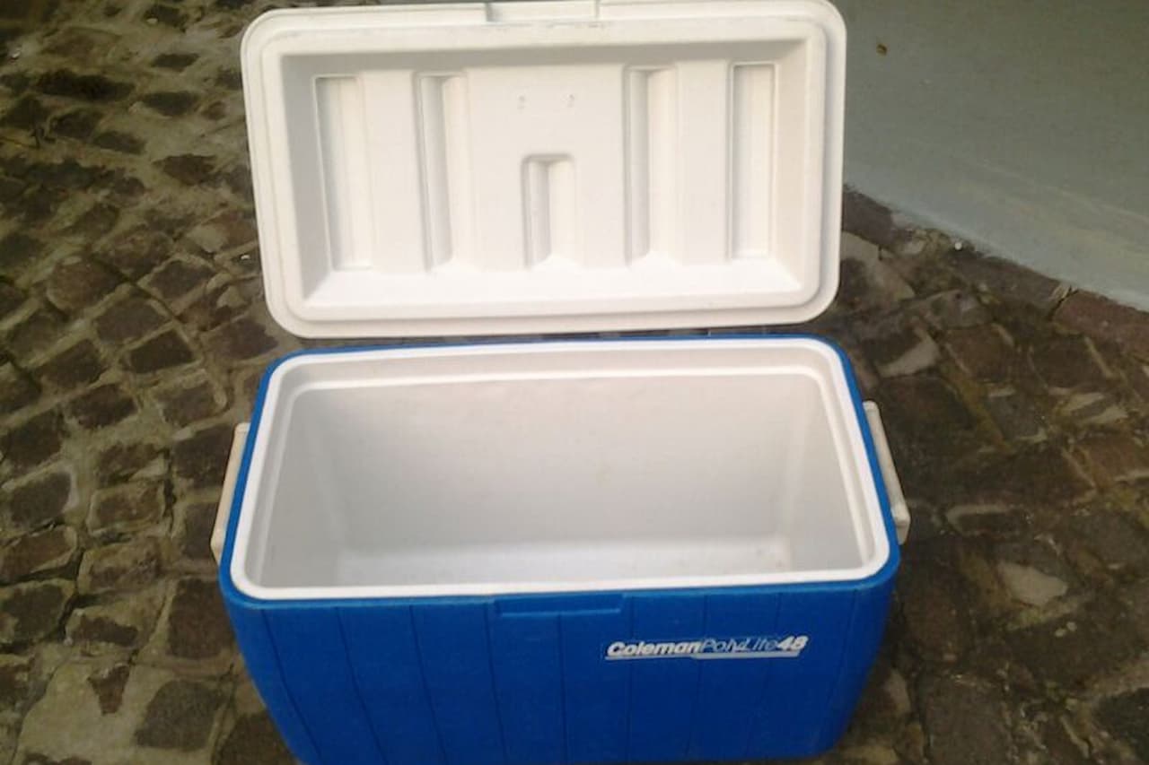 Blue Coleman cooler with white interior and lid open, displaying insulated compartments on brick patio surface