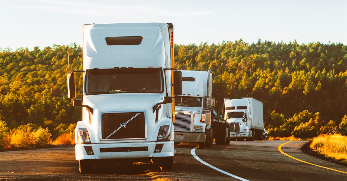 The Best-Selling Vehicles in the U.S. This Year — Trucks Still Dominate