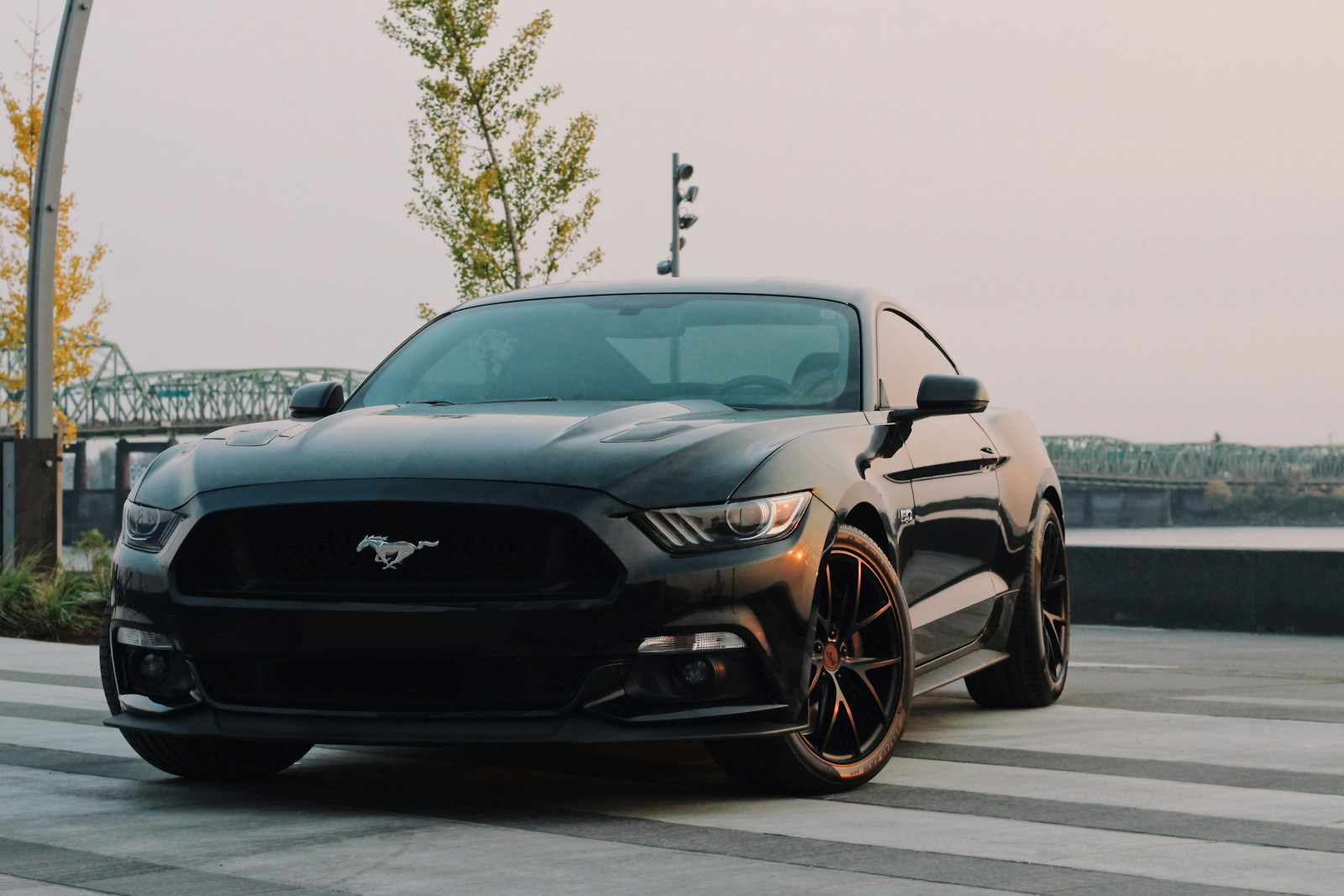 6 Muscle Cars That Will Always Rule the Road