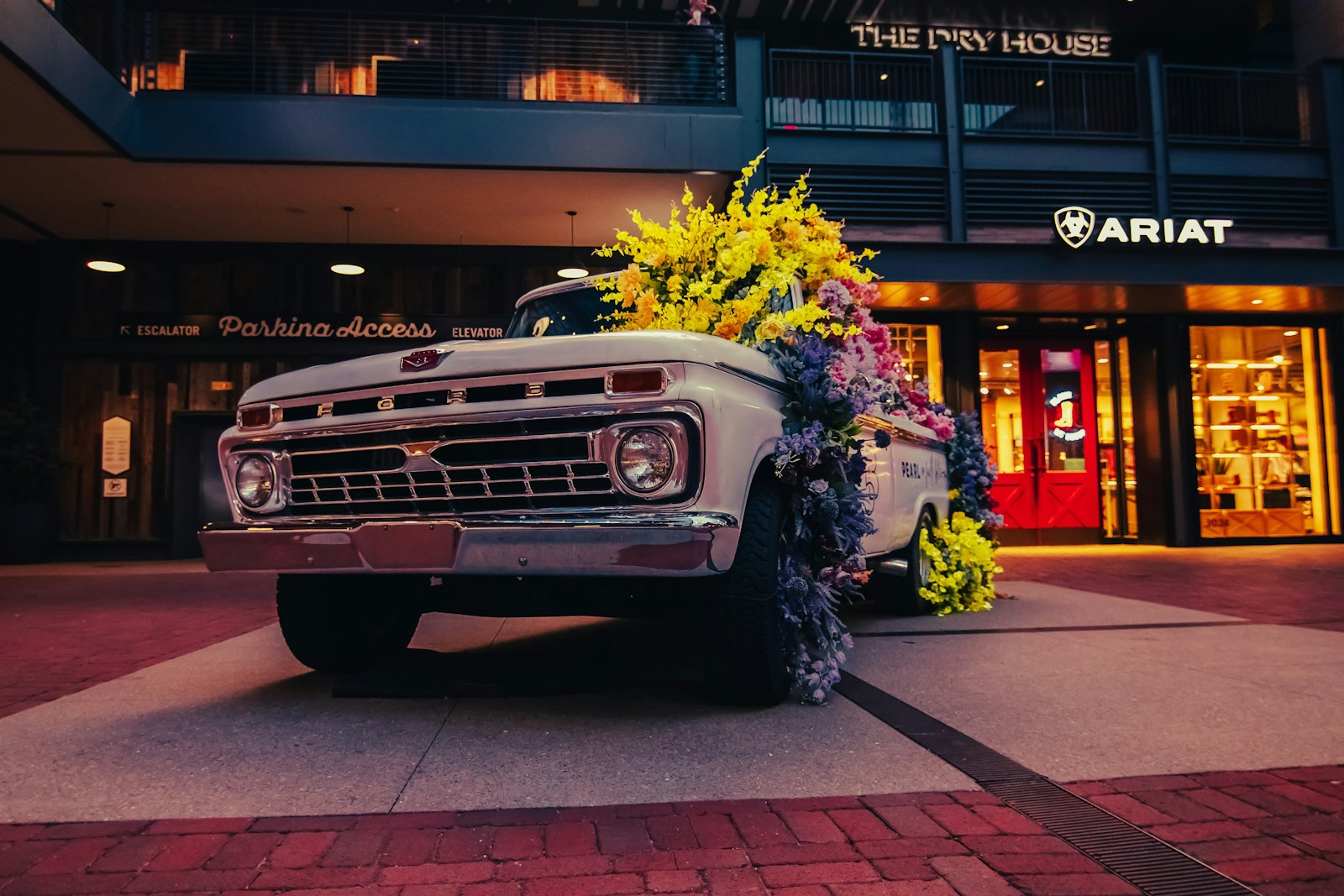 5 Family Cars That Raised a Generation