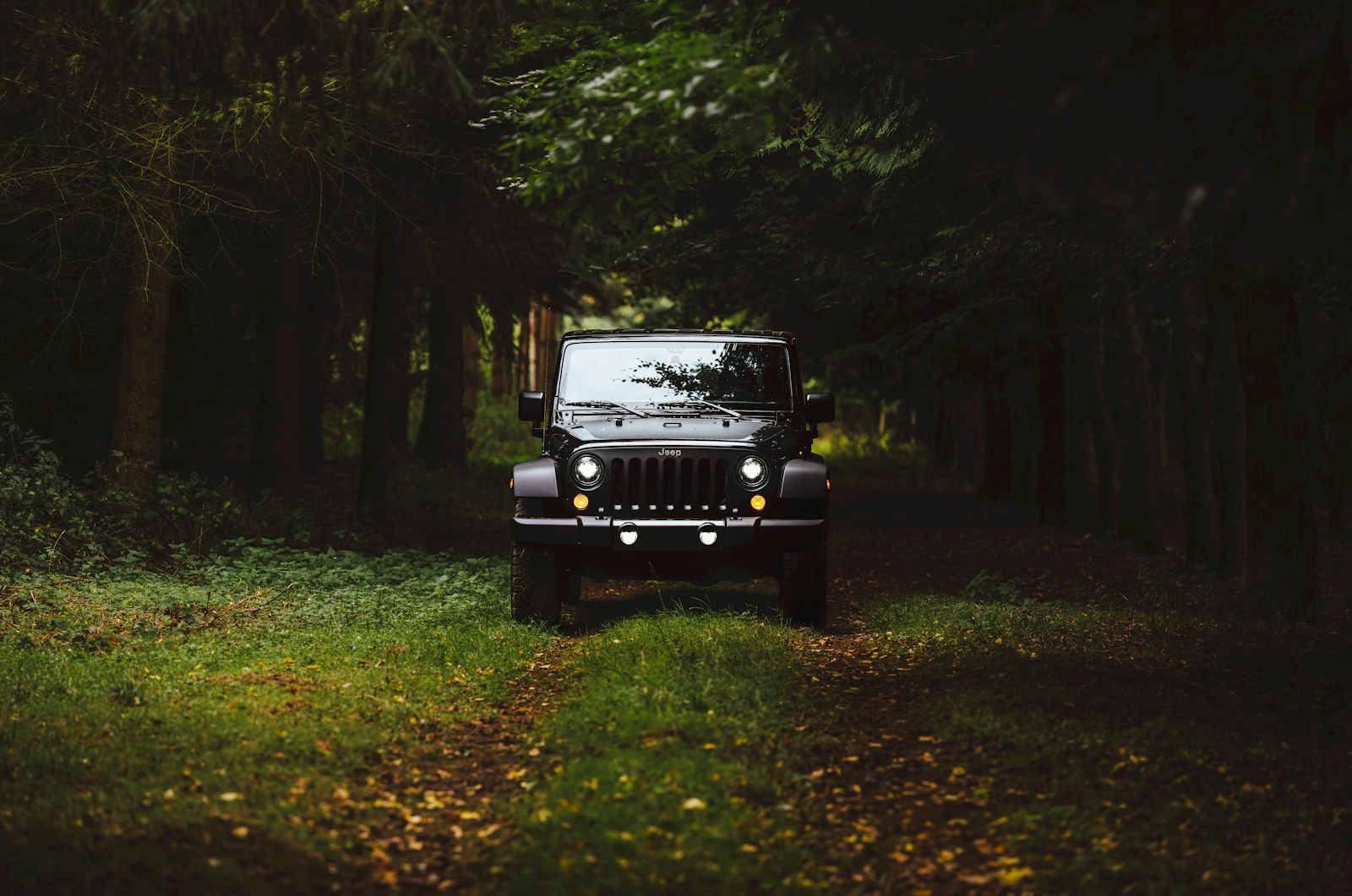 5 SUV Brands That Rarely Make It Past 150,000 Miles