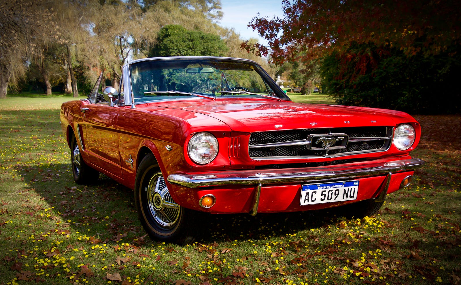 5 Muscle Cars That Made Boomers Fall in Love With Speed