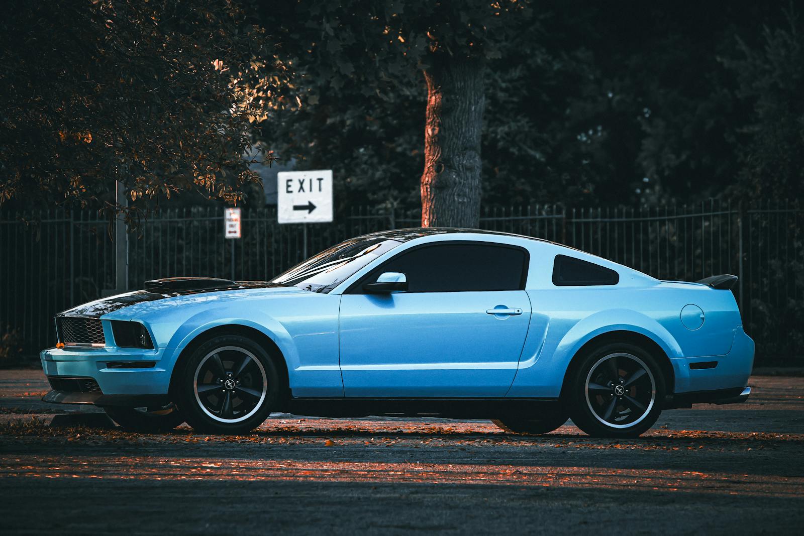 A classic blue Mustang coupe parked on a city street, highlighted by evening light and surrounded by trees.