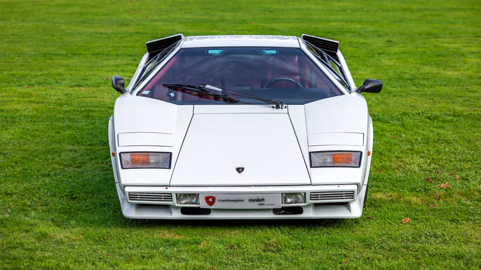 White Lamborghini Countach displayed outdoors on a vibrant green lawn capturing classic automotive elegance.