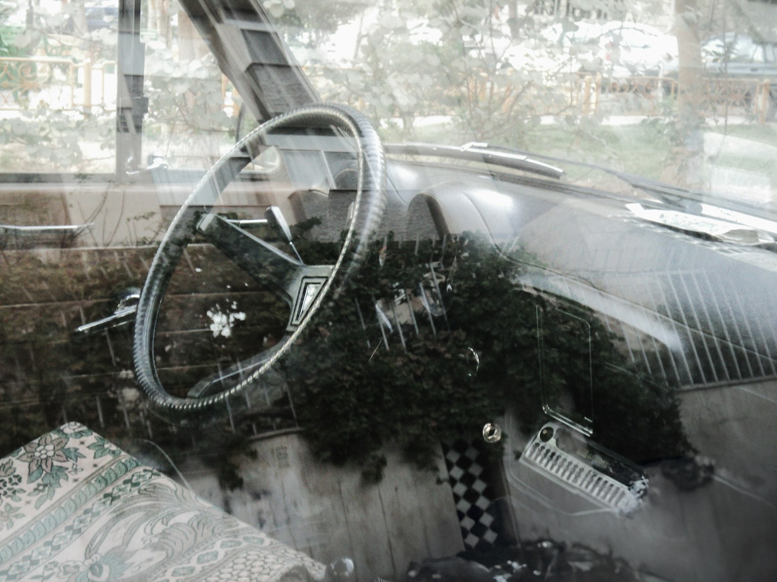 Overgrown plants inside a vintage car dashboard