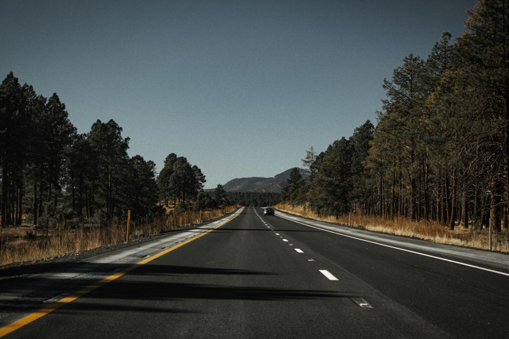 gray concrete road between green trees under blue sky during daytime