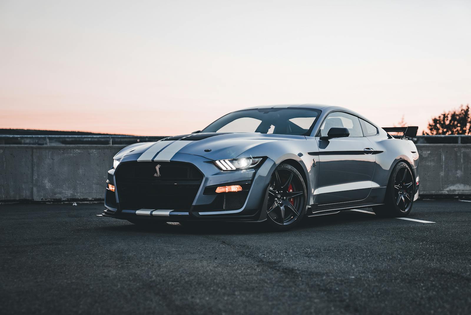 2026 Shelby Super Snake Makes 830 Horsepower for $175K