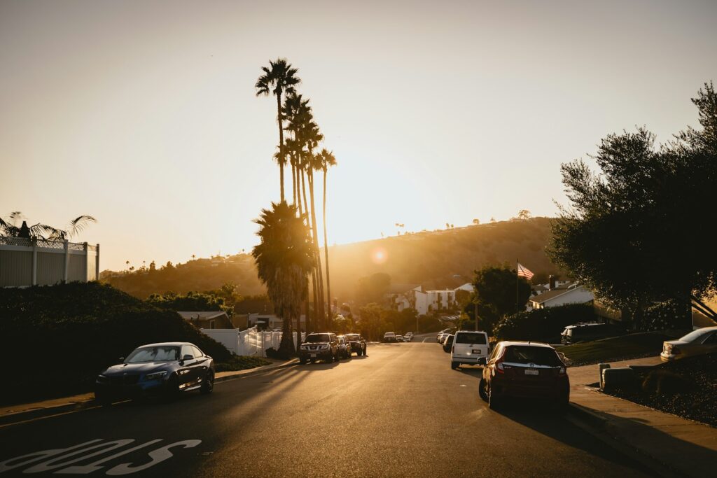 Palm trees line a street at sunset.