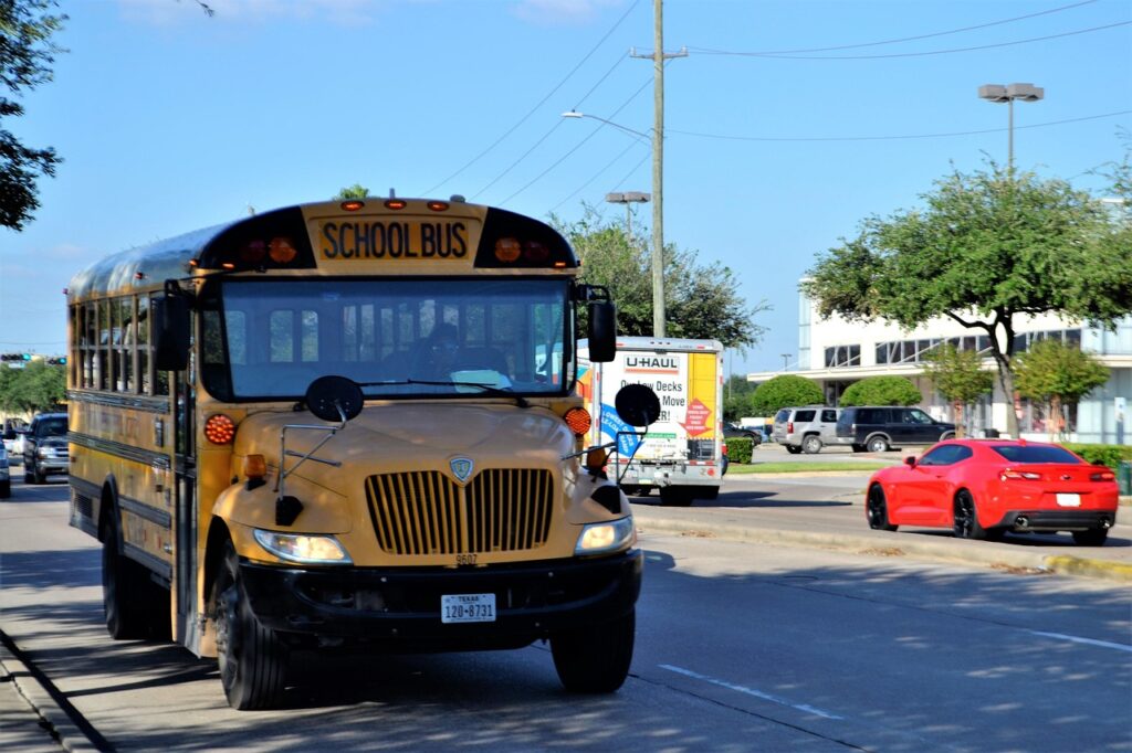 bus, school bus, street, children, transport, town, education, elementary, state, government, school, transportation, public, texas