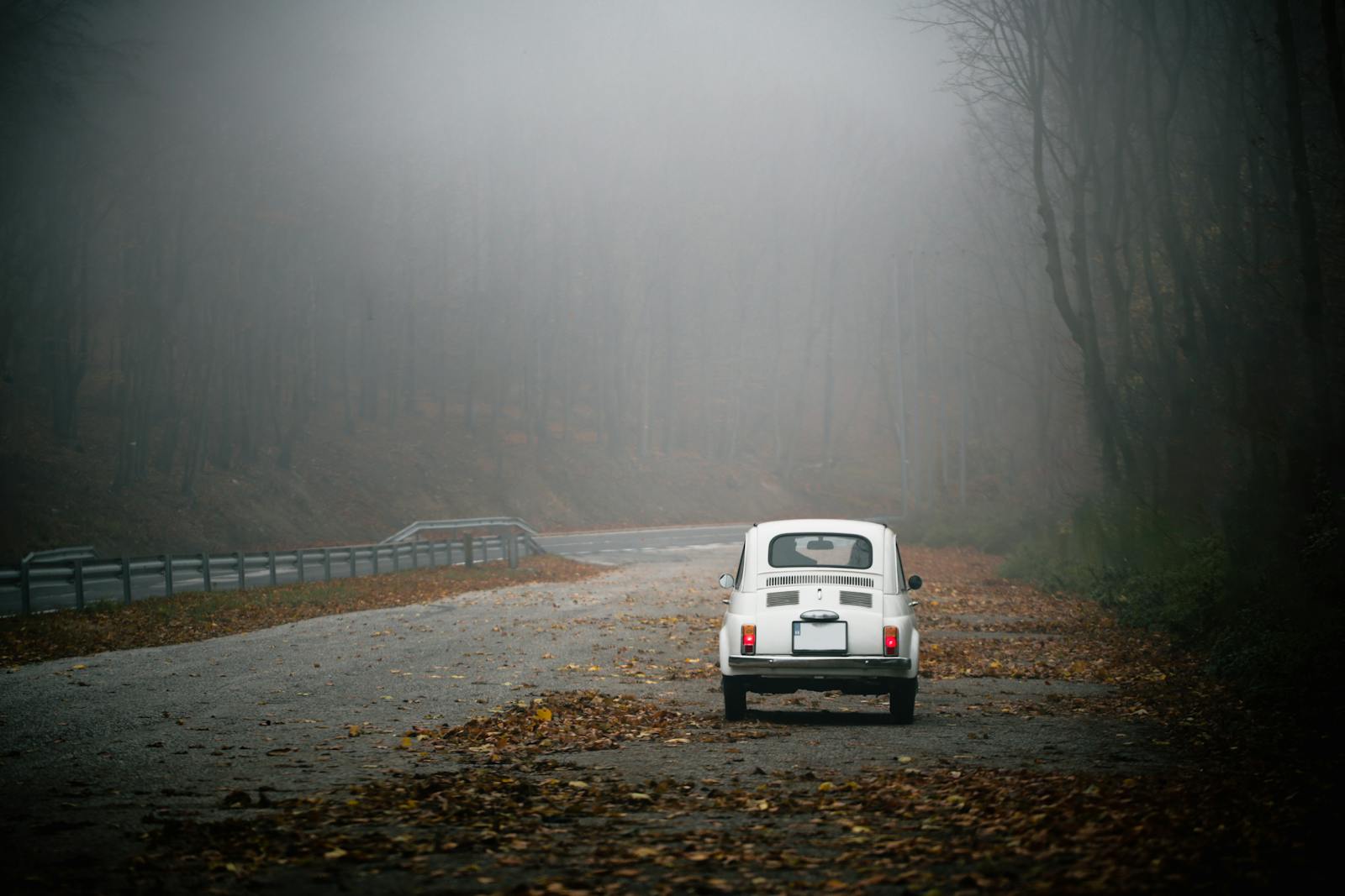 A classic white car travels down a misty, leaf-covered road in autumn.