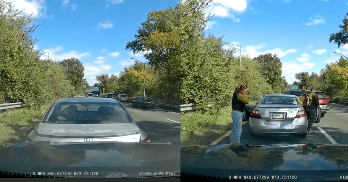 Dashcam Records a Bizarre Insurance Scam Attempt in Broad Daylight