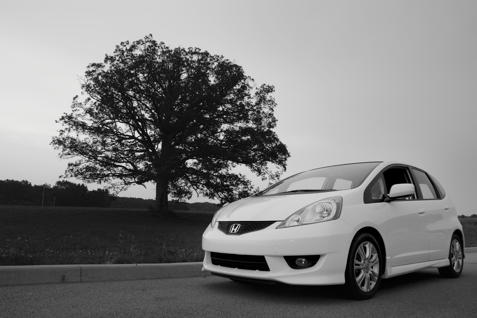 white car parked near tree