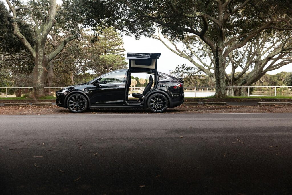 Tesla Model X with open falcon wing doors parked in a scenic Sydney park setting.