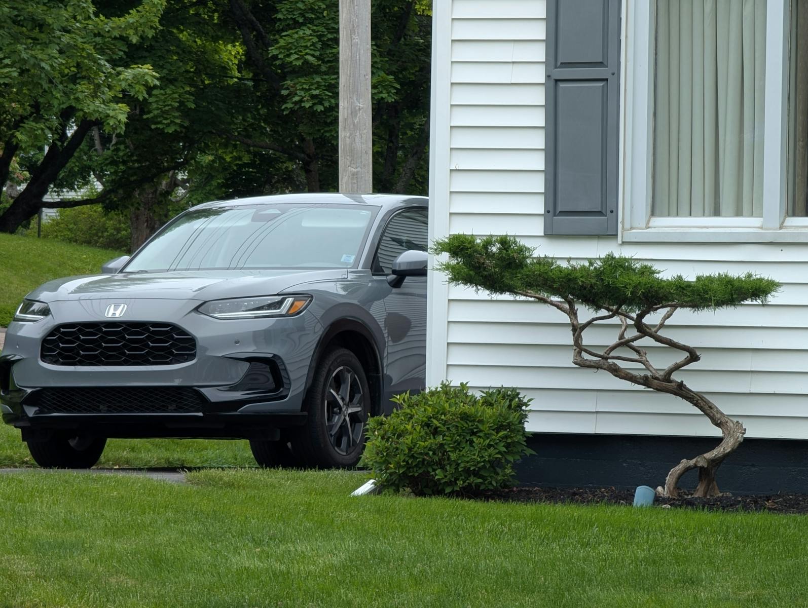 A sleek car parked outside a modern house with a beautifully pruned bonsai tree in Canada.