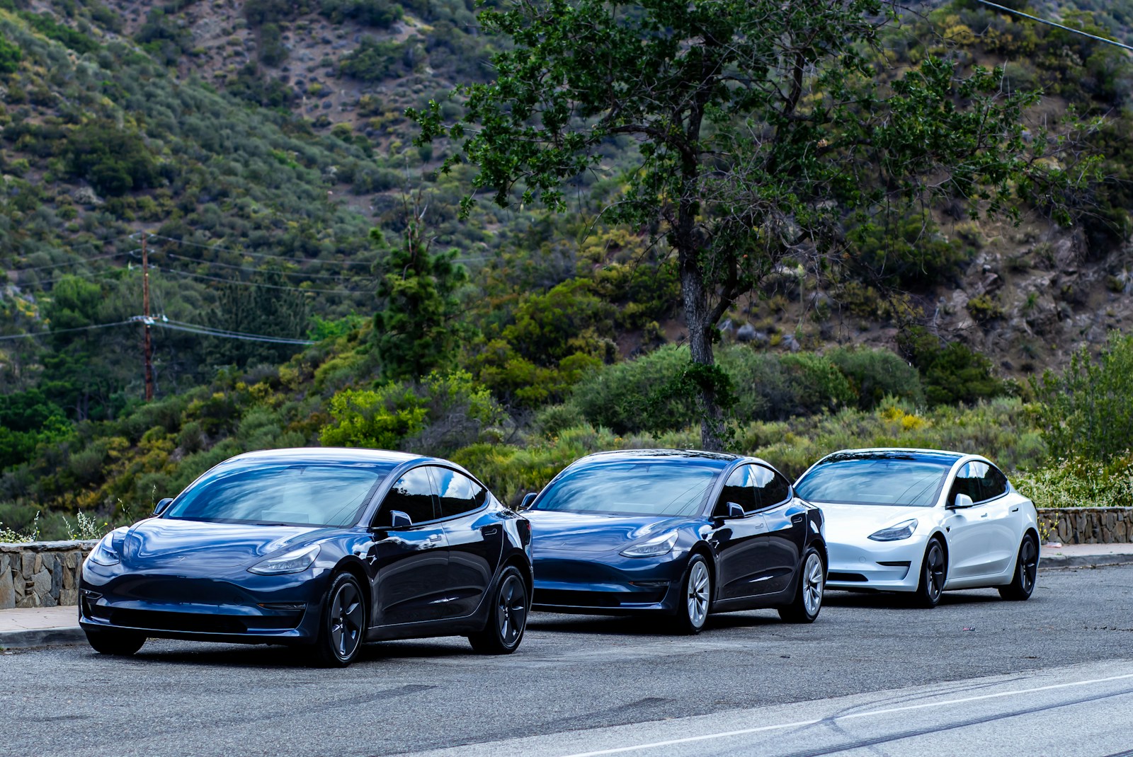 Tesla Just Killed 40% of Its Lineup so It Can Build Robots: TDS
