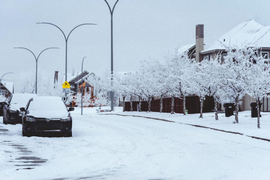 A serene snowy street scene with parked cars and frosted trees in winter.