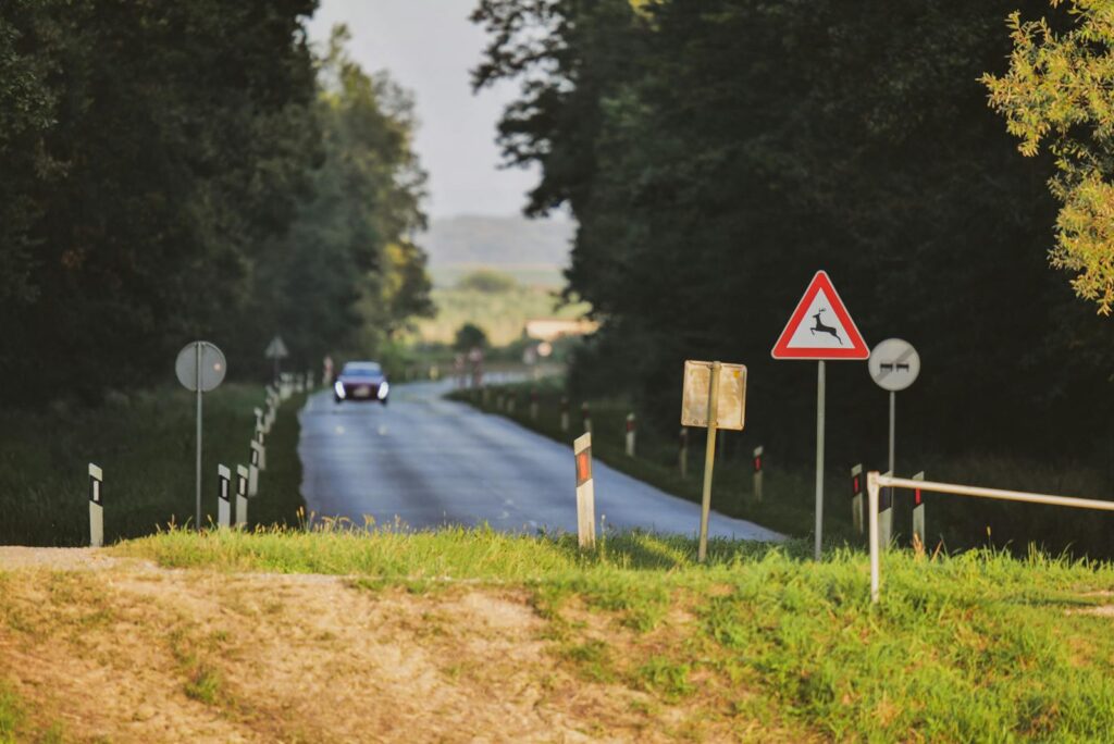 A rural road in Croatia featuring a deer crossing sign, surrounded by dense forest.