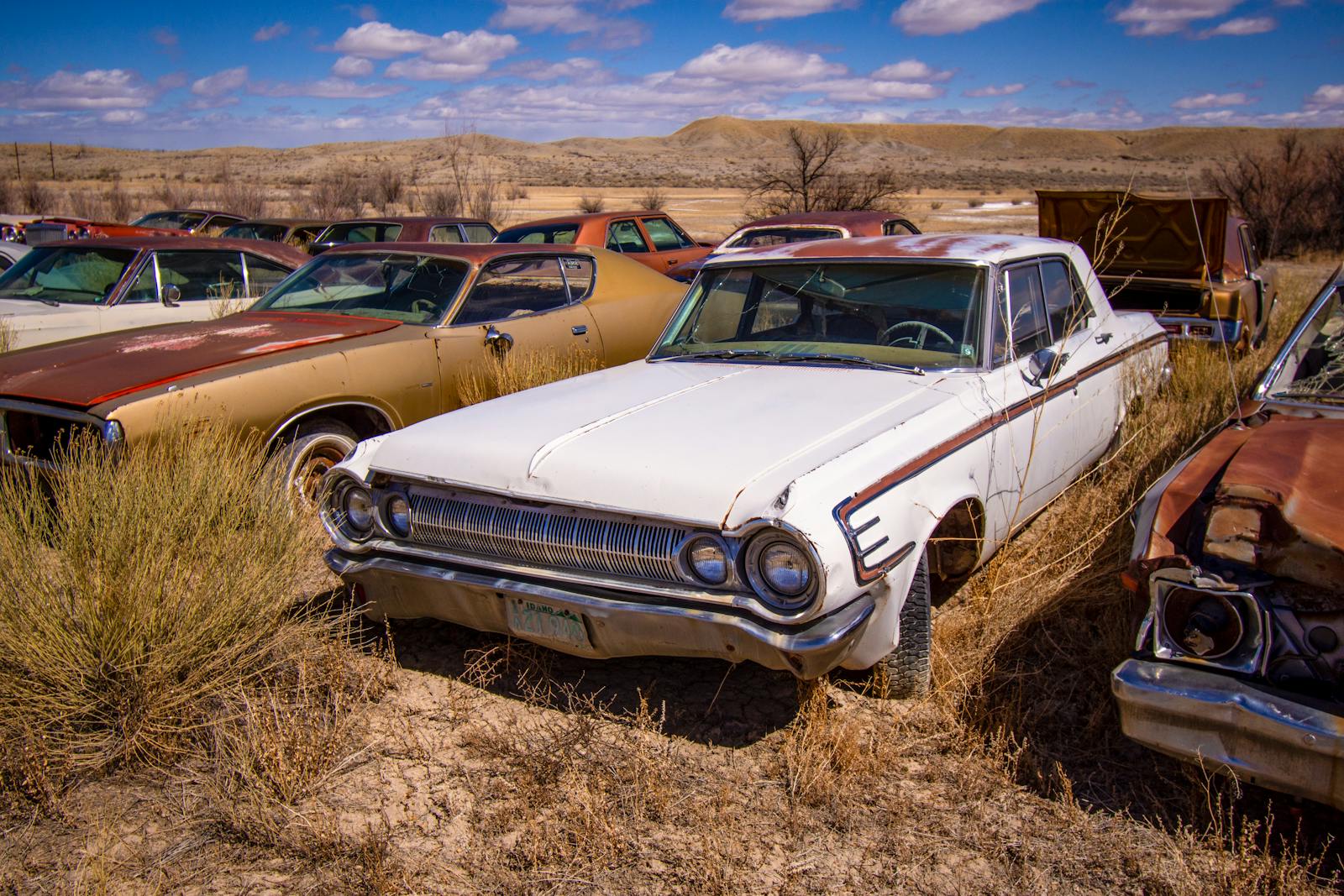 A collection of vintage, rusting cars in a desert junkyard, under a bright blue sky.