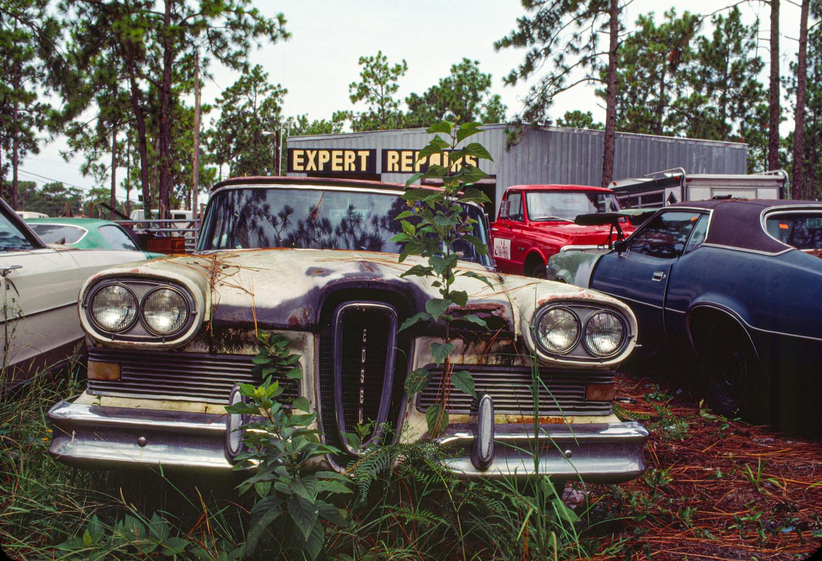 Explore decaying vintage cars in Bithlo, Florida, showcasing nature's reclaiming touch.