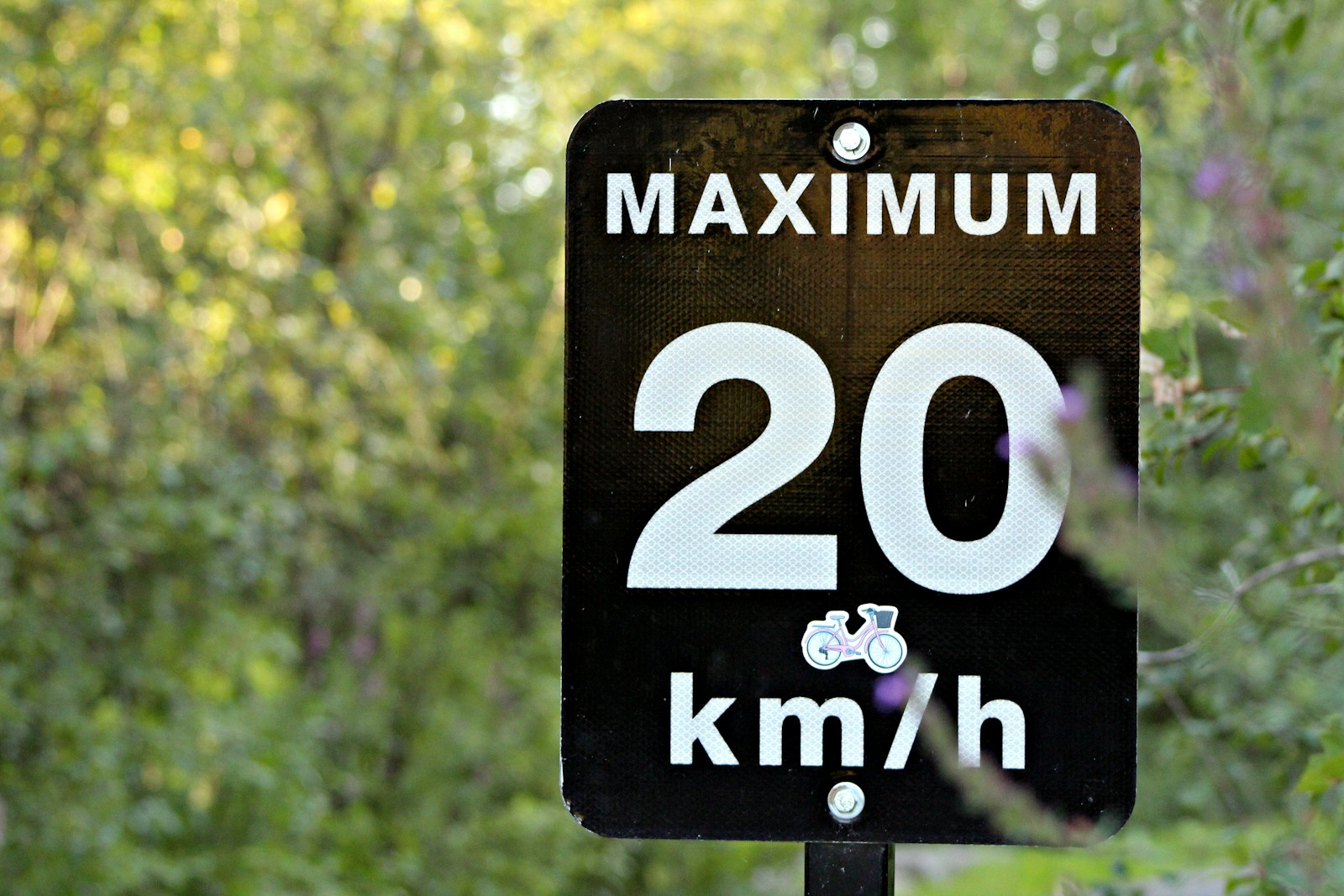 Maximum 20 km/h speed limit sign