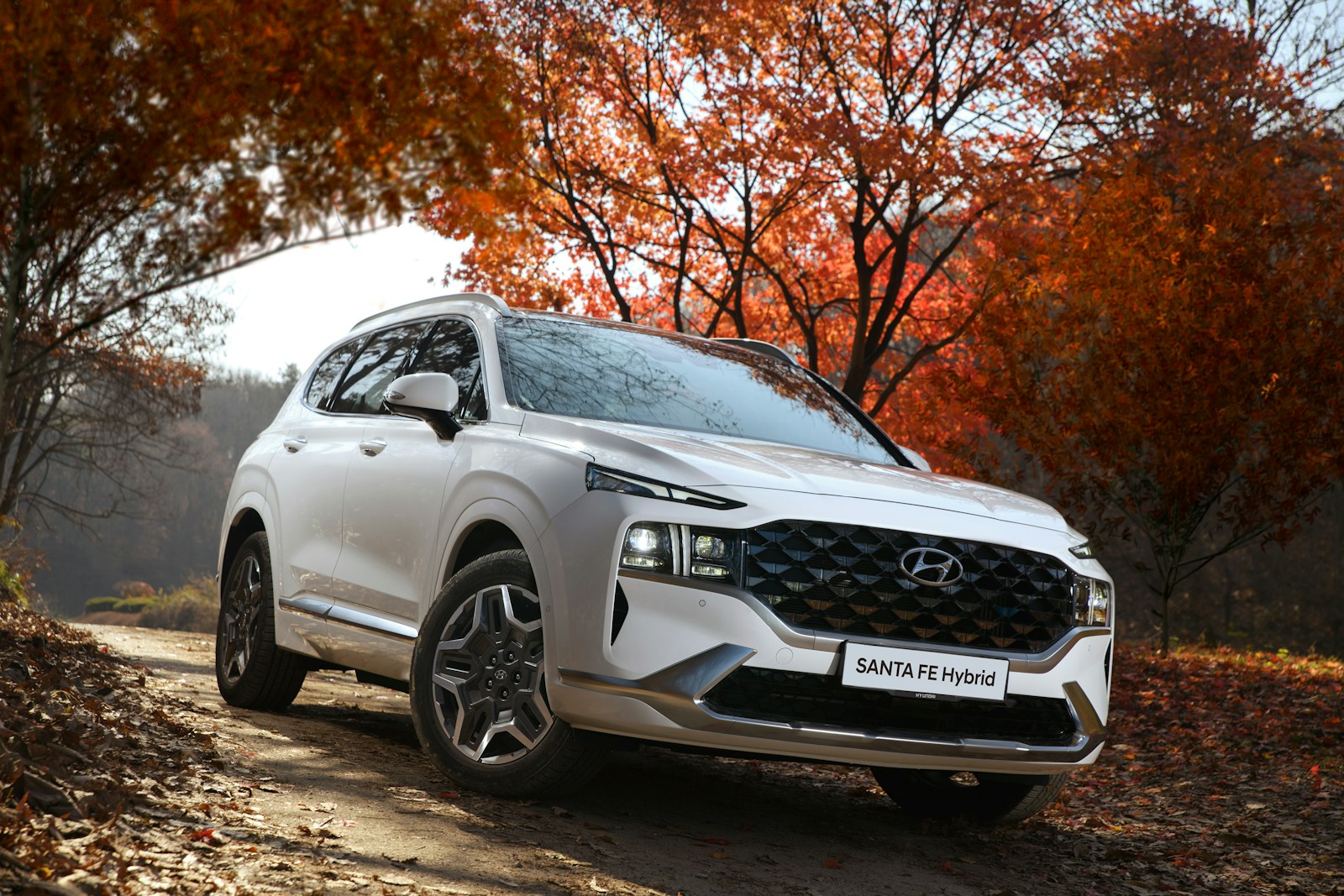 Hyundai Santa Fe Blends Range Rover Looks With Real Family Utility