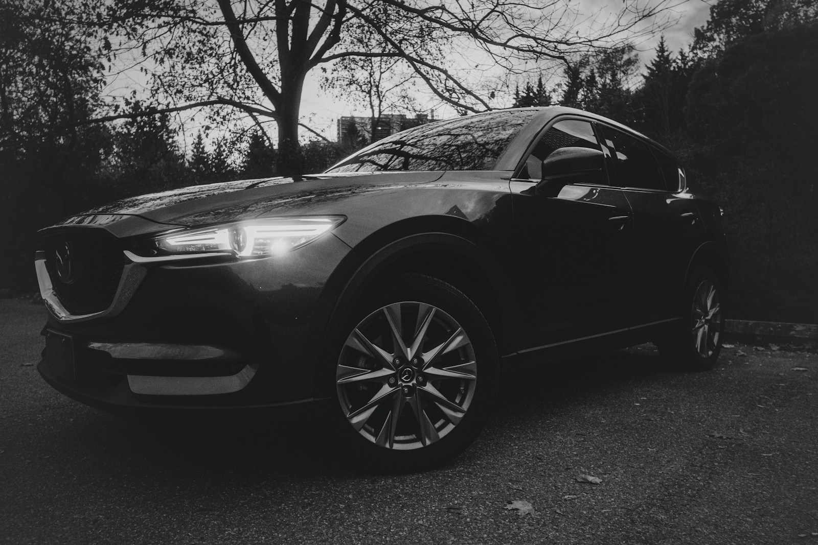 Couple Who Negotiated $4,200 Off a Family Crossover Watched the F&I Manager Add It Back as a “Document Prep Tier” Fee Buried Between the Tire Tax and the State Filing Line