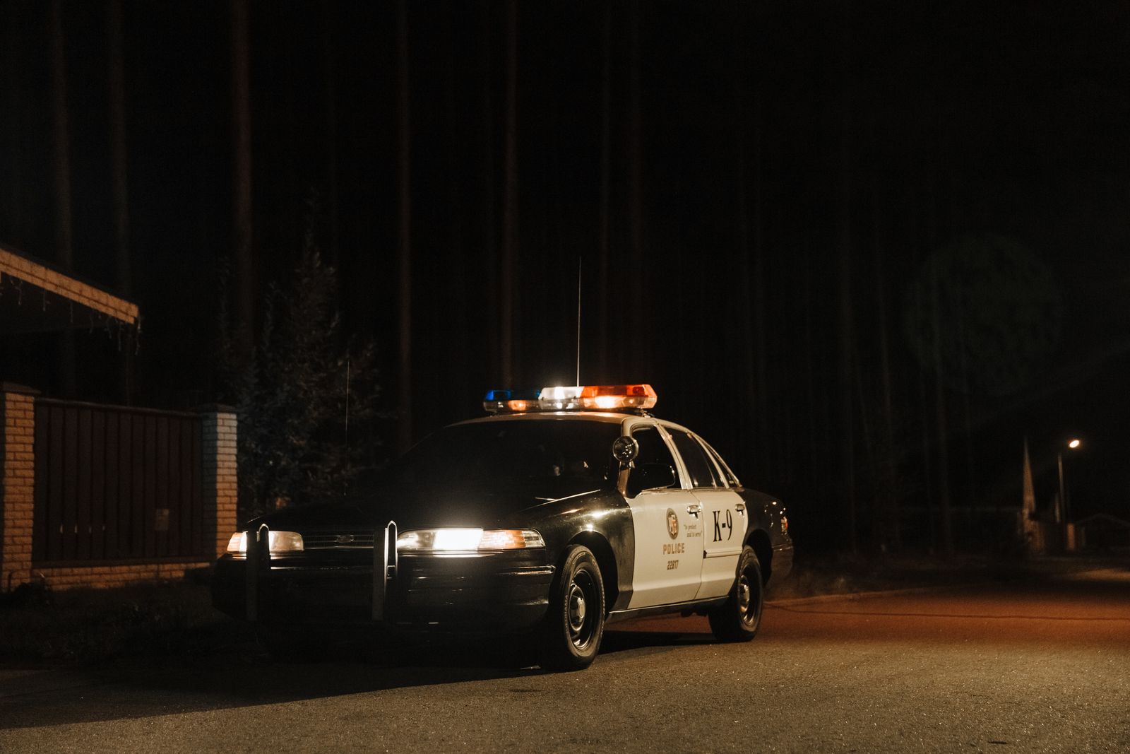 A K-9 police car parked on a dark forest road at night with lights flashing.