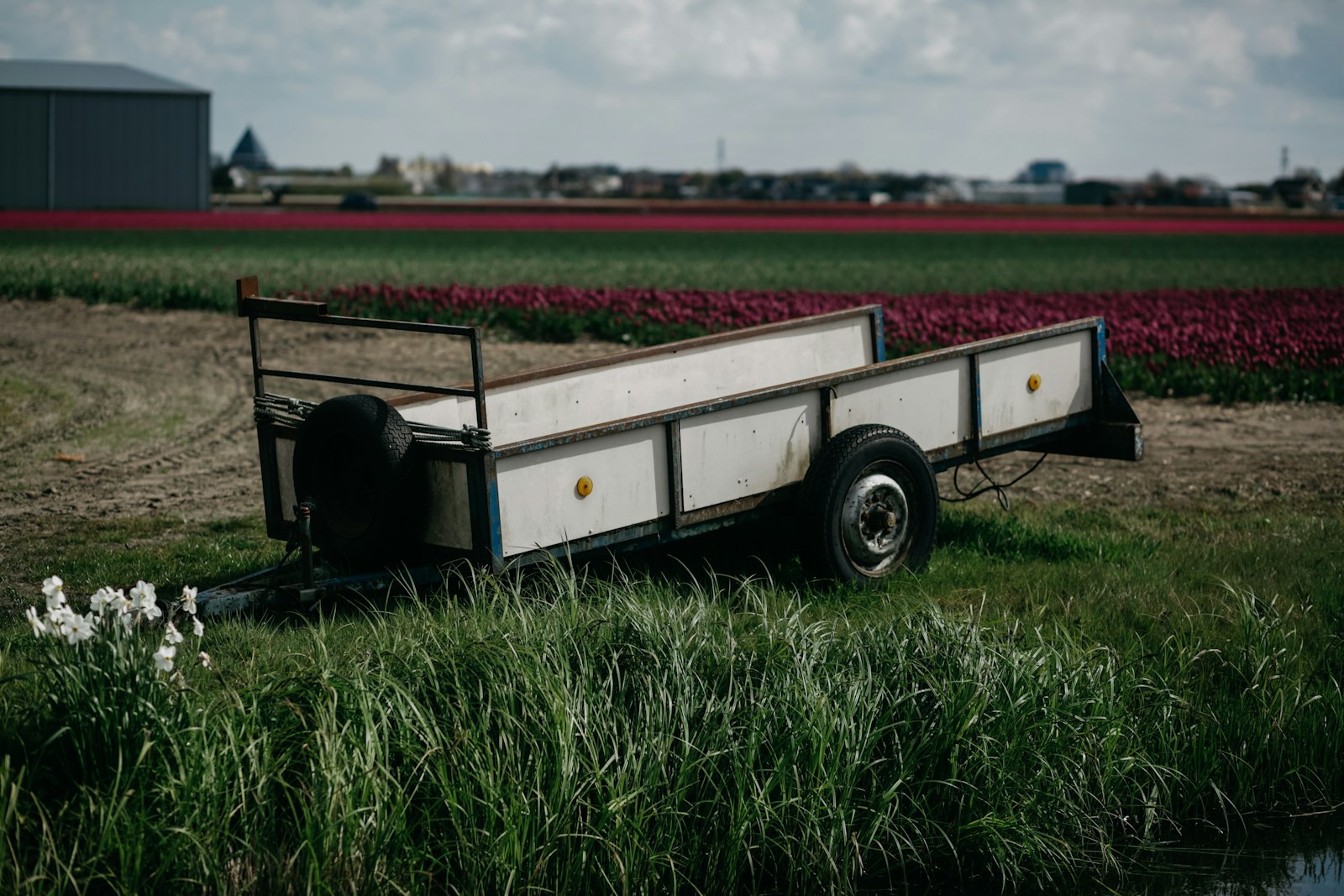 Half-Ton Truck Owner Hauling a Lawn Trailer Heard the Rear End Whine to a Howl Outside Amarillo — The Pinion Bearing Had Disintegrated and Filled the Diff Cover With Metal