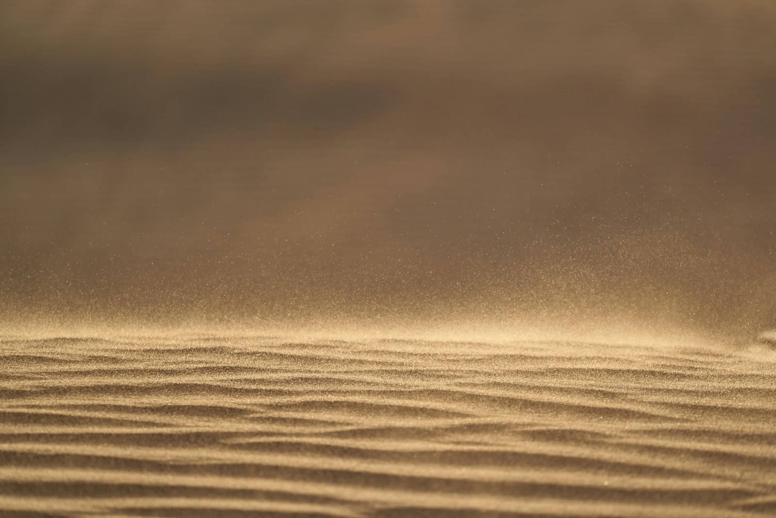 shallow focus photography of brown sand