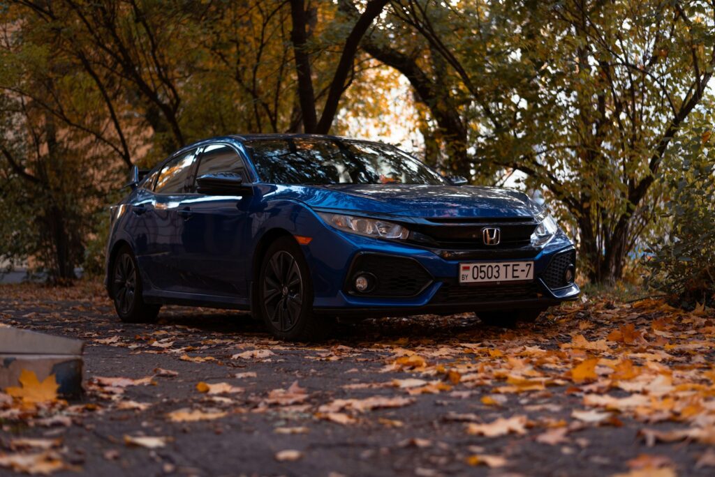 a blue car parked in a wooded area