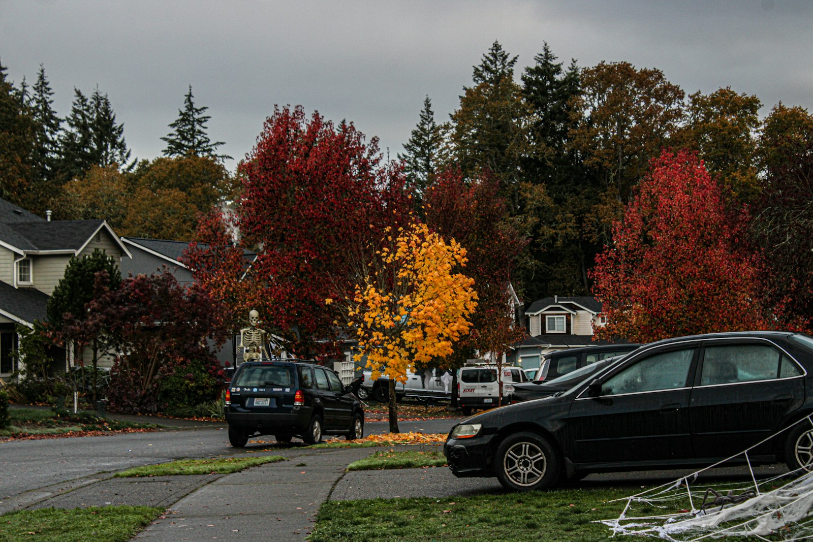 My Neighbor Backed Into My Car, Then Accused Me Of Parking Too Close To His Driveway Even Though I Was In My Own Spot
