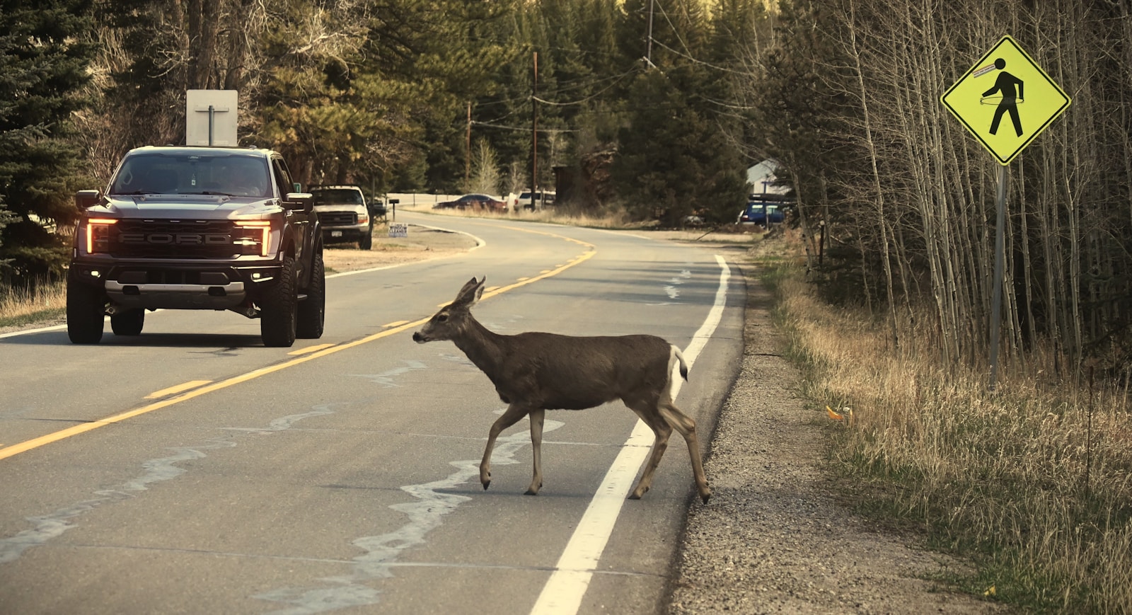 A Deer Totaled My Car And My Family Says I’m Dramatic For Mourning It, Even Though I Spent Years Keeping It Perfect