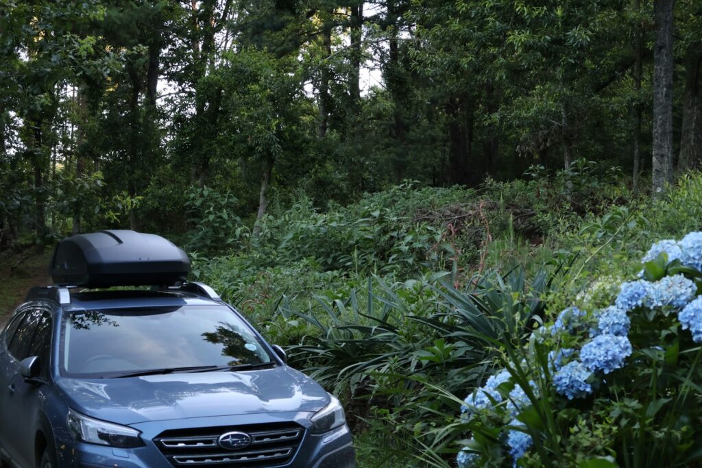 A car is parked near a wooded area.