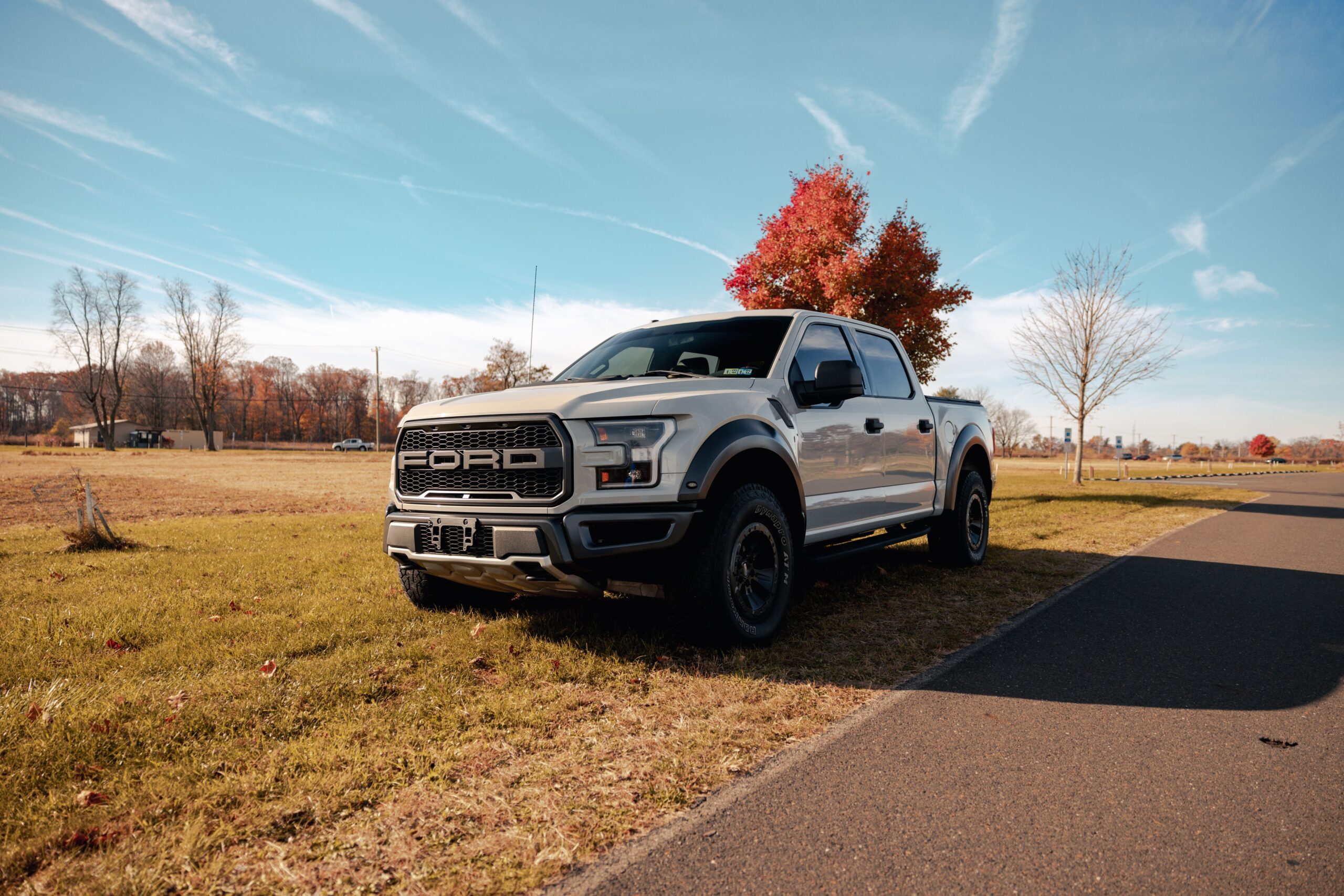 A white Ford pickup truck parked on a green field