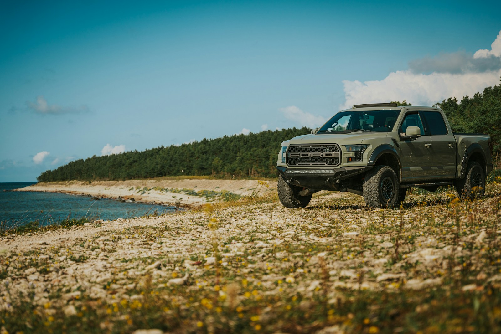 A rugged truck parked on a rocky beach with trees