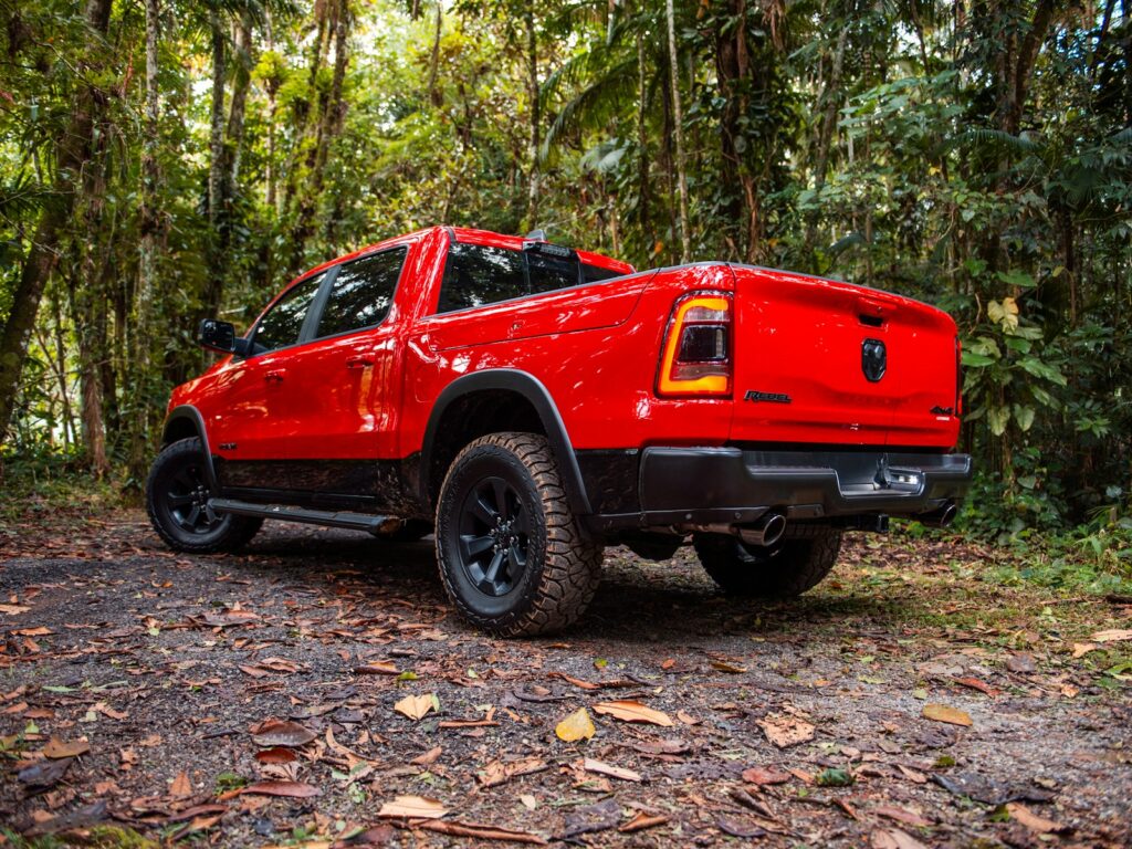 A red truck parks amidst a lush forest