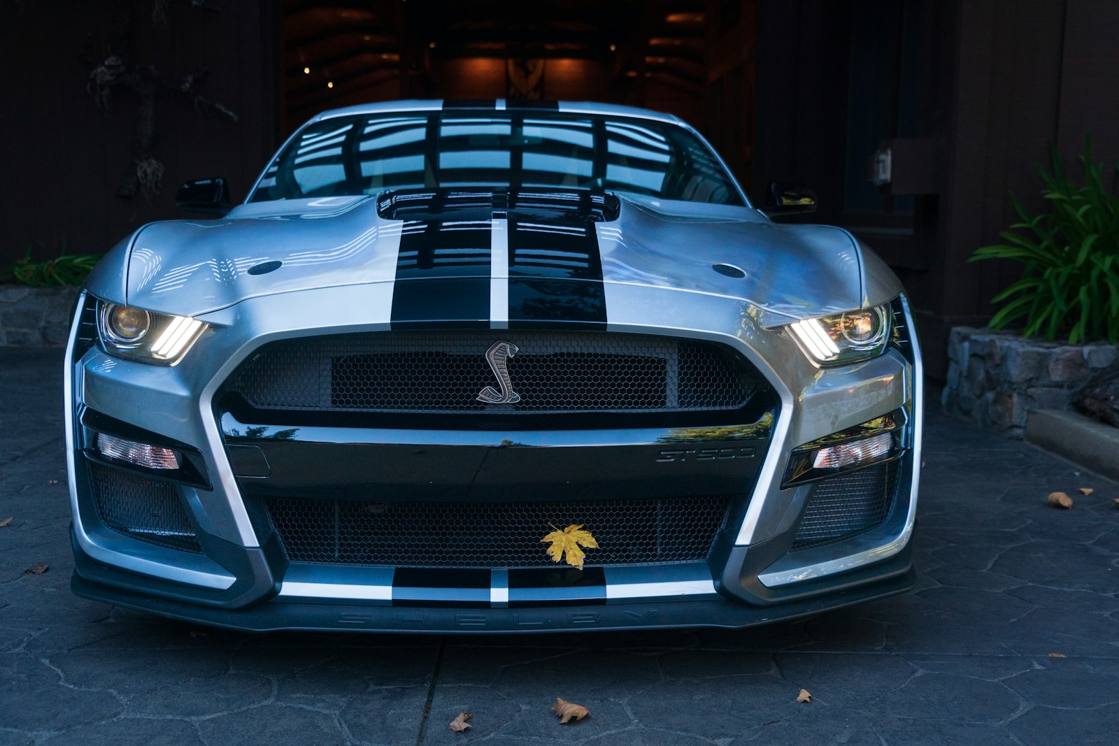One Modern Shelby GT500 Once Owned by a Famous Rock Musician Is Now Up for Grabs, and the Factory Supercharged V8 Hiding Under the Hood Is Worth More Attention Than the Celebrity Name