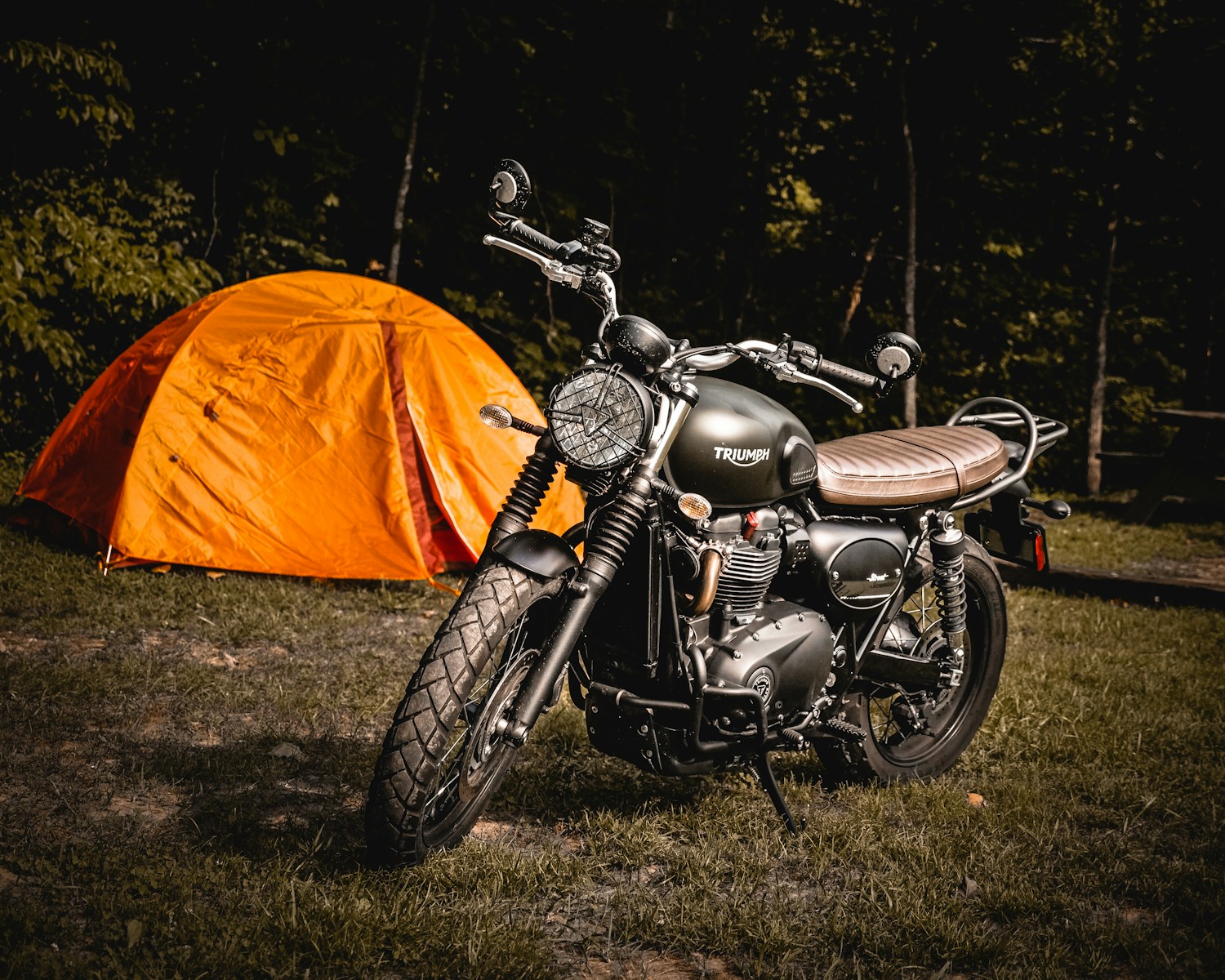 Brand New Trident 800 Motorcycles Just Got Recalled by Triumph After a Diagnostic Tool Botched the Headlight Setting and Left the Low Beam Too Dim to Meet Federal Standards