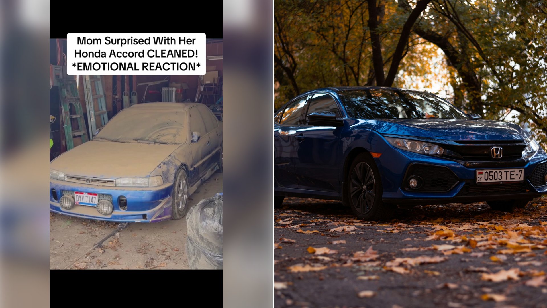 Left: cover still from a TikTok video by @wddetailing. Right: a blue car parked in a wooded area (Unsplash photo by Vitali Adutskevich).