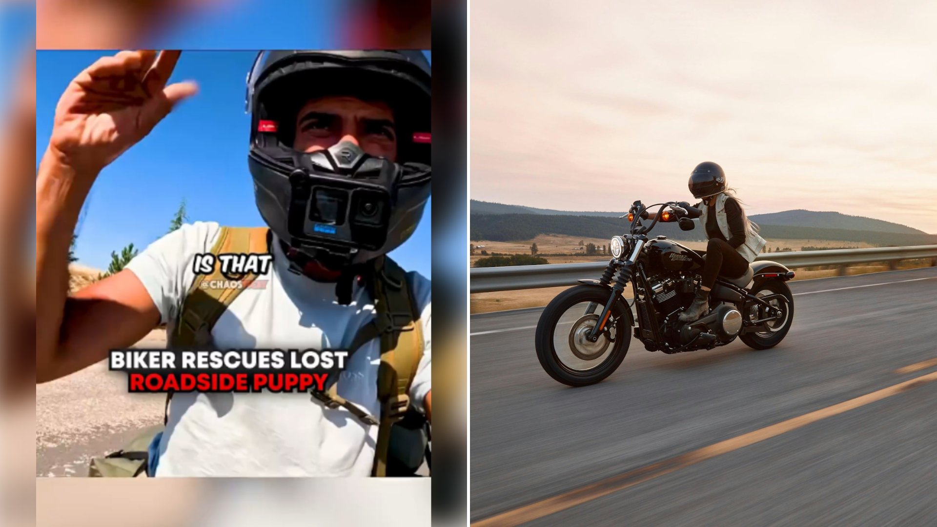 Rider on a Four Hour Trip Stops for a Dehydrated Roadside Puppy, Pours It Water From a Bottle and Packs It Onto His Motorcycle Saying He Has to Get It to a Doctor