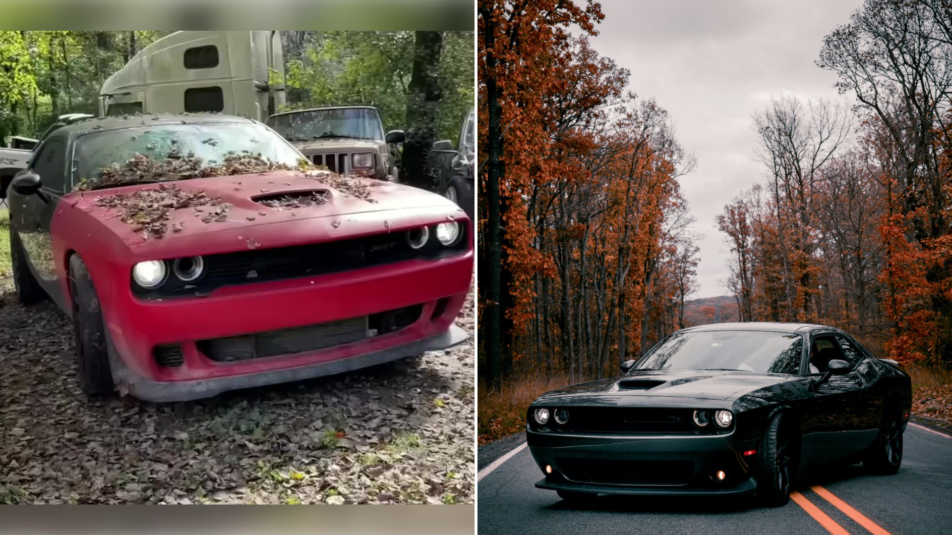 Left: cover still from a TikTok video by @lopes66kkkj. Right: a black muscle car on an asphalt road lined with autumn trees (Unsplash photo by Haidong Liang).