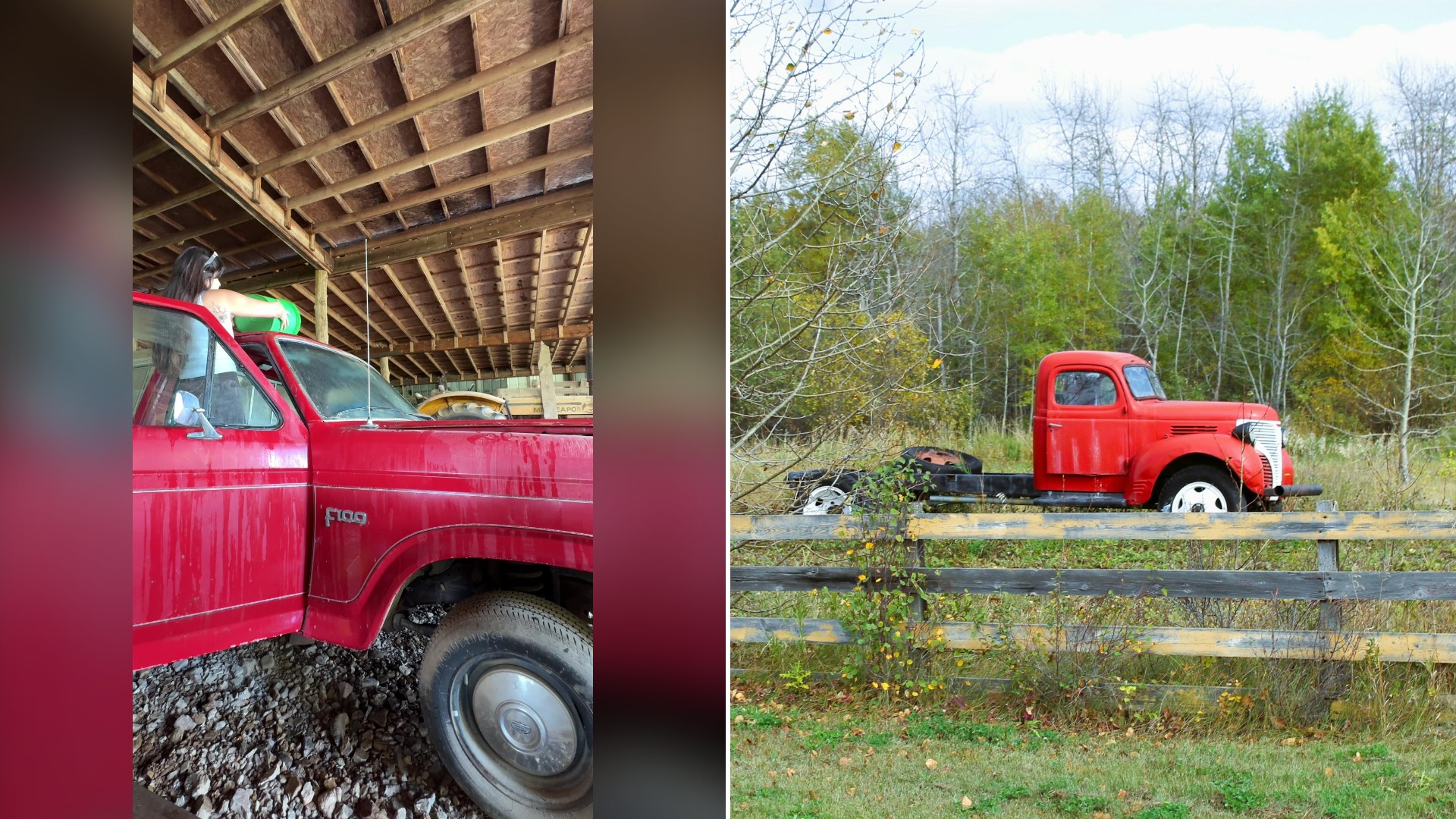 Split image with the cover of @daisyonthefarm's TikTok video, where a red Ford F100 pickup sits under a wooden carport roof with a person partly visible behind it, on the left and an Unsplash photo by Darin Wicentowich on the right showing a red vintage truck behind a wooden fence