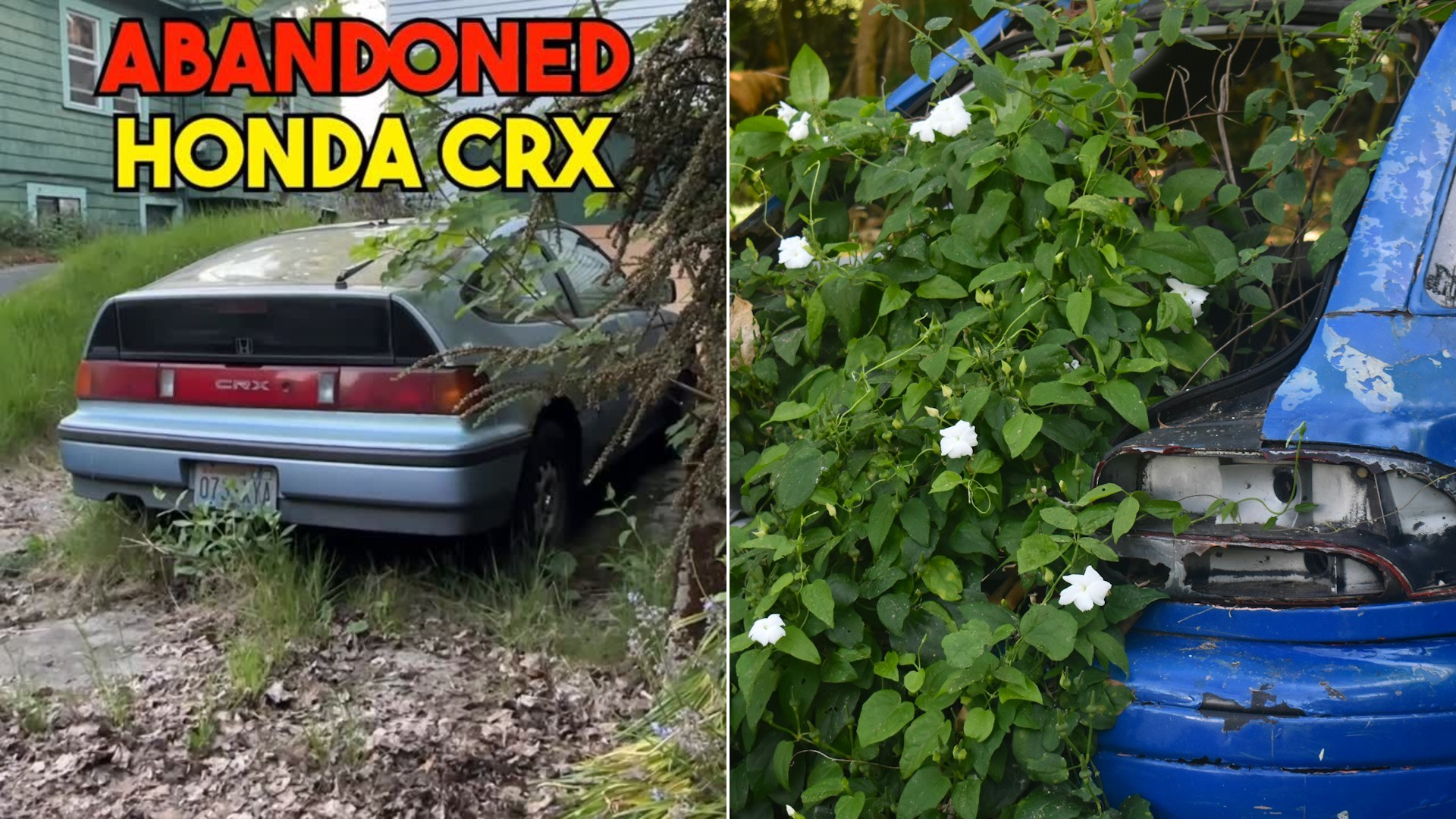 Cover of @bendaga's Instagram reel beside an Unsplash photo by Adam Young of an abandoned blue car overgrown with green plants and white flowers